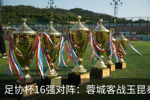 足协杯16强对阵：蓉城客战玉昆泰山战三镇 国安遭遇中乙队